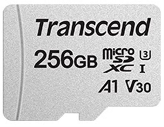  Зображення Карта пам'яті Transcend microSD 256GB C10 UHS-I R100/W40MB/s + SD 